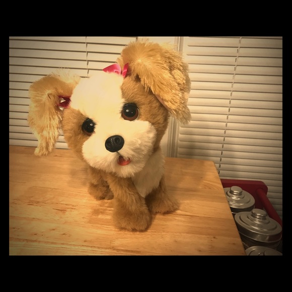 furreal friends bouncy